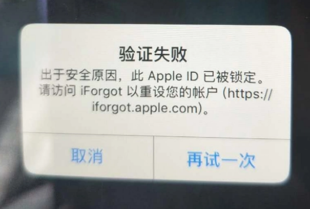 海南iPhone维修分享iPhone上正常登录或使用AppleID怎么办 