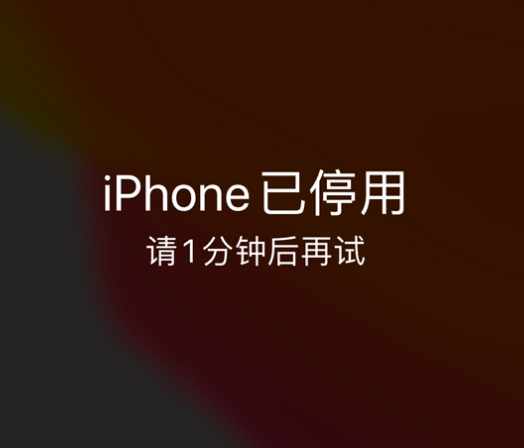 海南苹果手机维修分享:iPhone 显示“不可用”或“已停用”怎么办？还能保留数据吗？ 