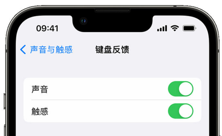 海南苹果手机维修分享iPhone 14触感键盘使用方法 