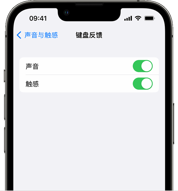 海南苹果14维修店分享如何在 iPhone 14 机型中使用触感键盘 