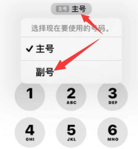 海南苹果14维修店分享iPhone 14 Pro Max使用副卡打电话的方法 