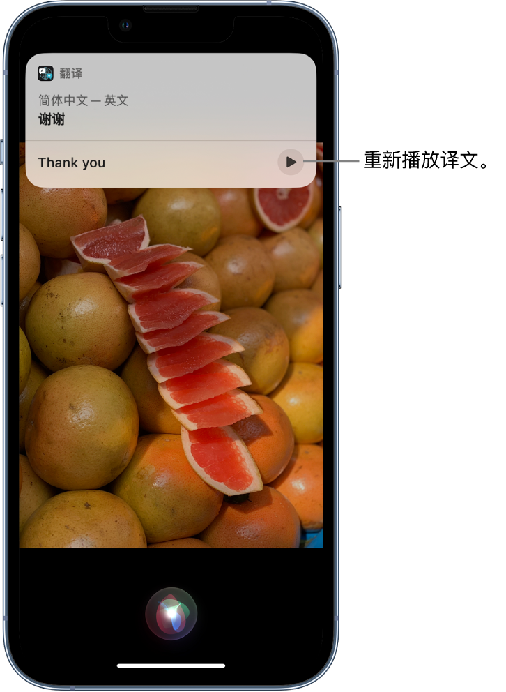 海南苹果14维修分享 iPhone 14 机型中使用 Siri：了解 Siri 能帮你做什么 