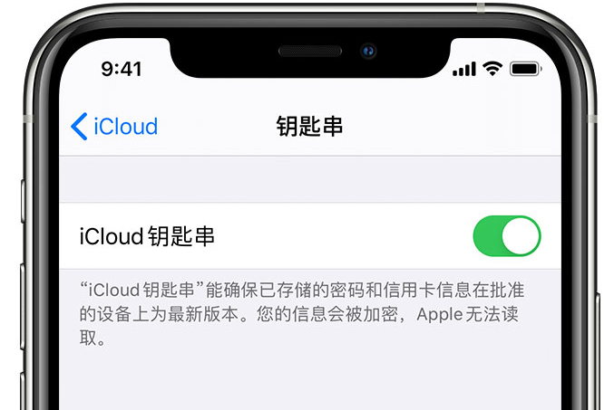 海南苹果手机维修分享在 iPhone 上开启 iCloud 钥匙串之后会储存哪些信息 